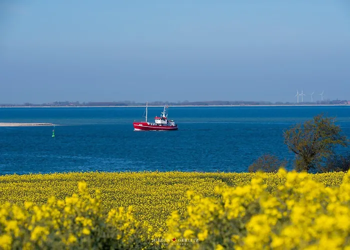 Knuts Koje * Olpenitz
